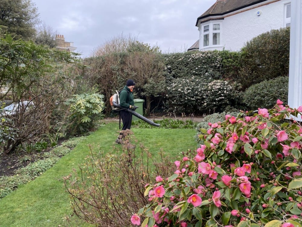 Garden Clearance in Abbey Wood SE2