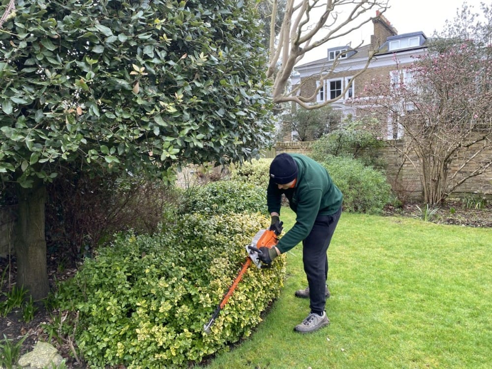 Garden Clearance in Abbey Wood SE2