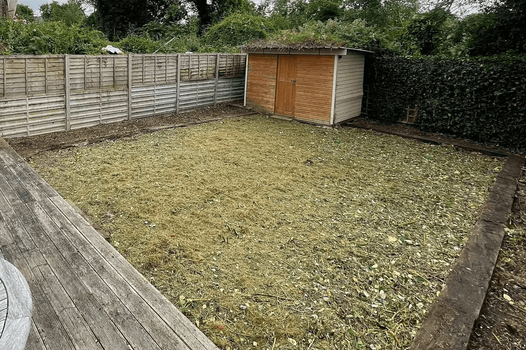 after garden clearance in garden SE London
