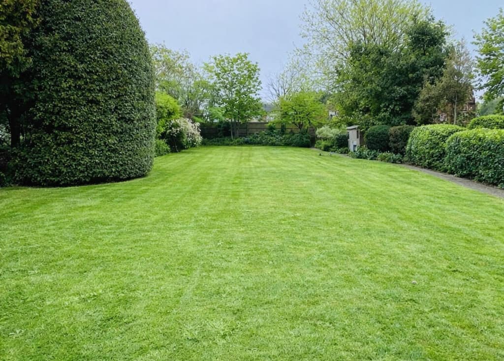 Lawn Mowing with Urban Gardeners South East London