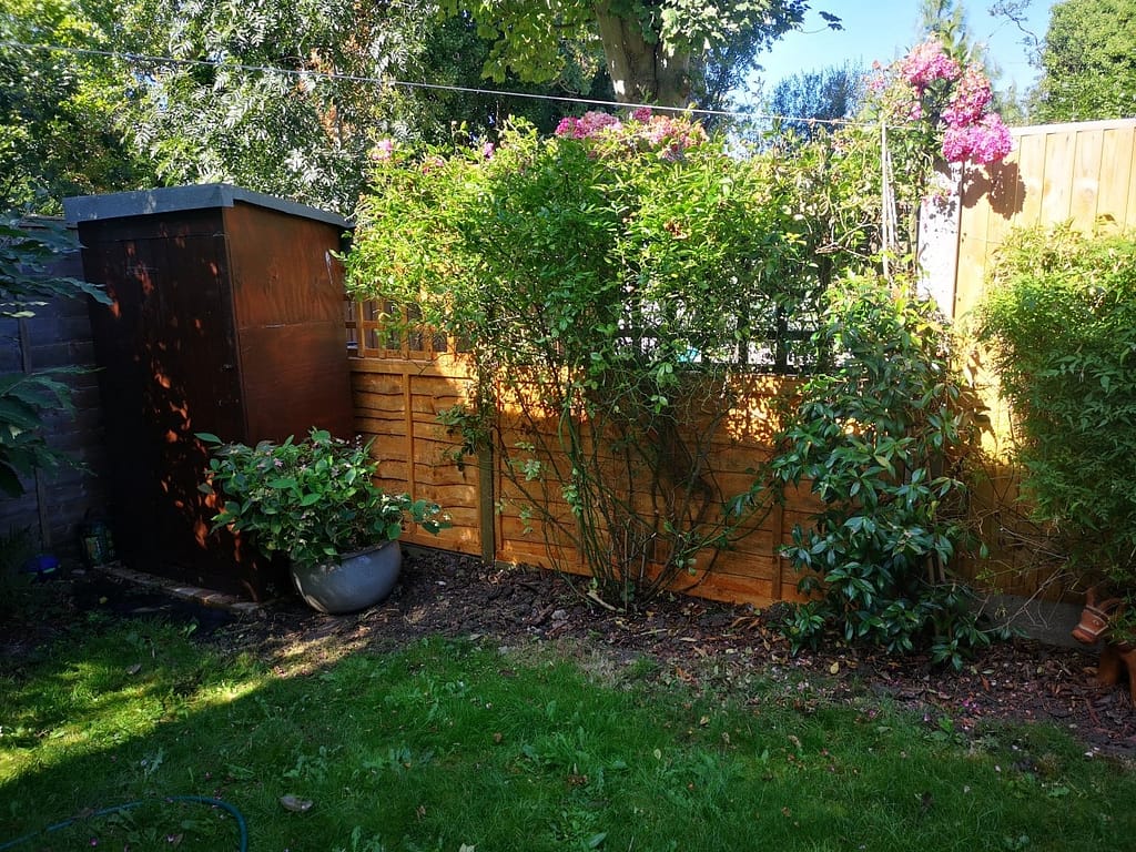 fence replacement Crystal Palace