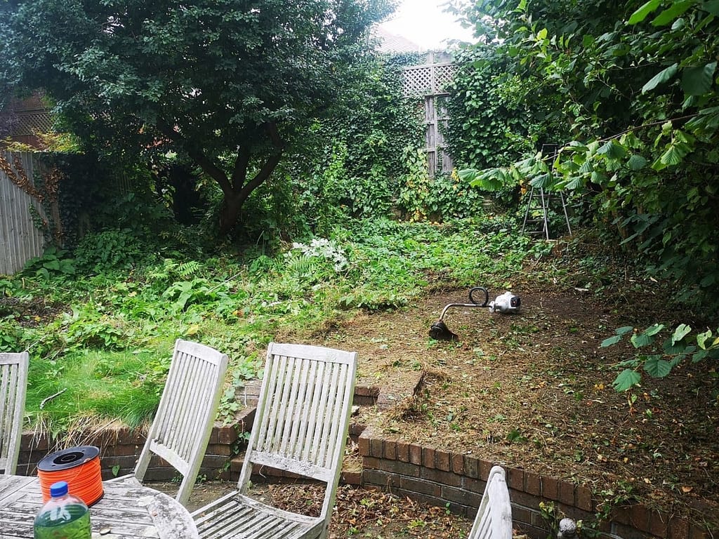 garden clean-up service Herne Hill