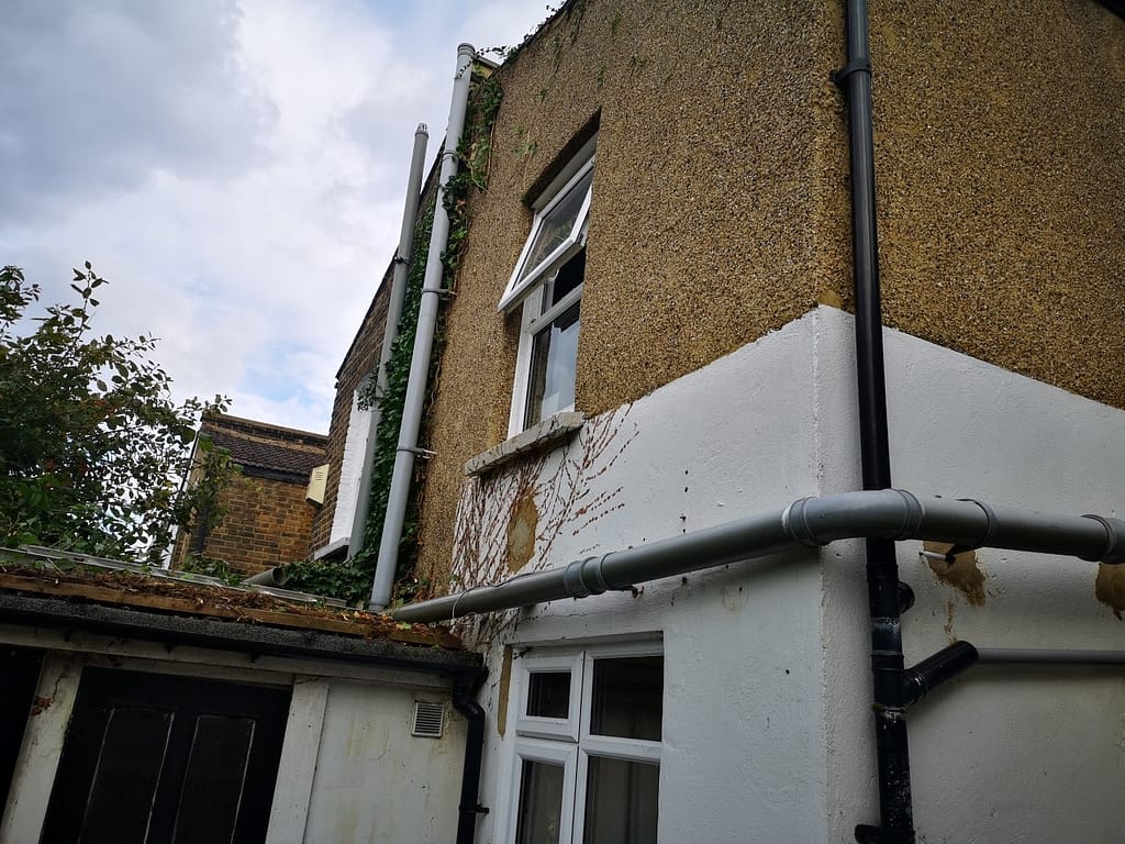 garden ivy tidy-up service in Peckham
