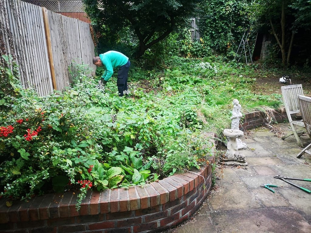 garden pruning Herne Hill