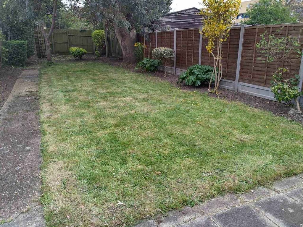 garden tidy-up in Catford