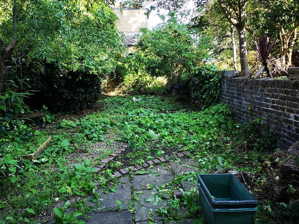 gardening services Tooting