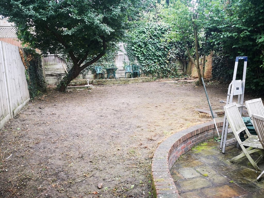 overgrown garden pruning in Herne Hill