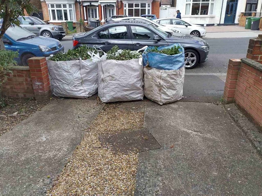 rubbish clearance Catford