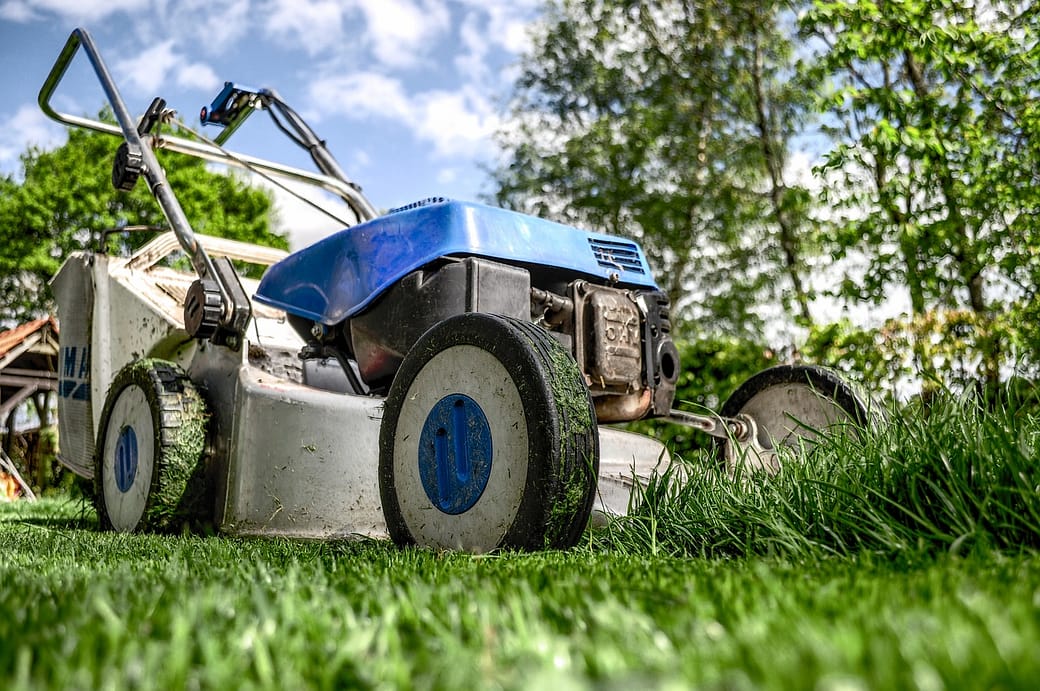Mowing and the good benefits Mowing and the good benefits