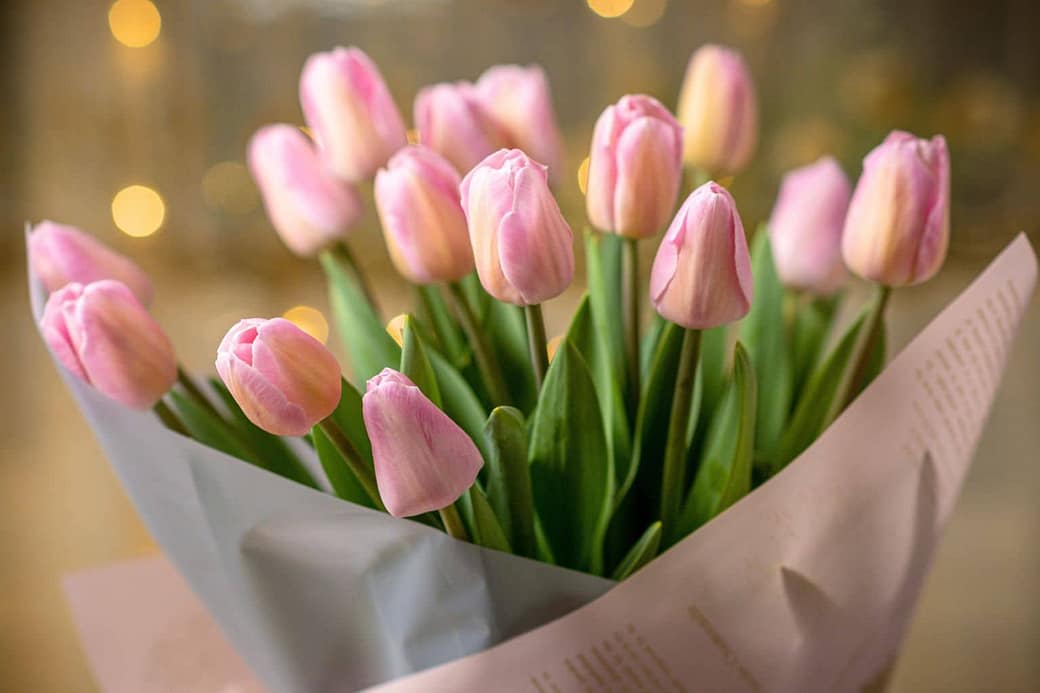 flower bouquet (3) tulip bouquet