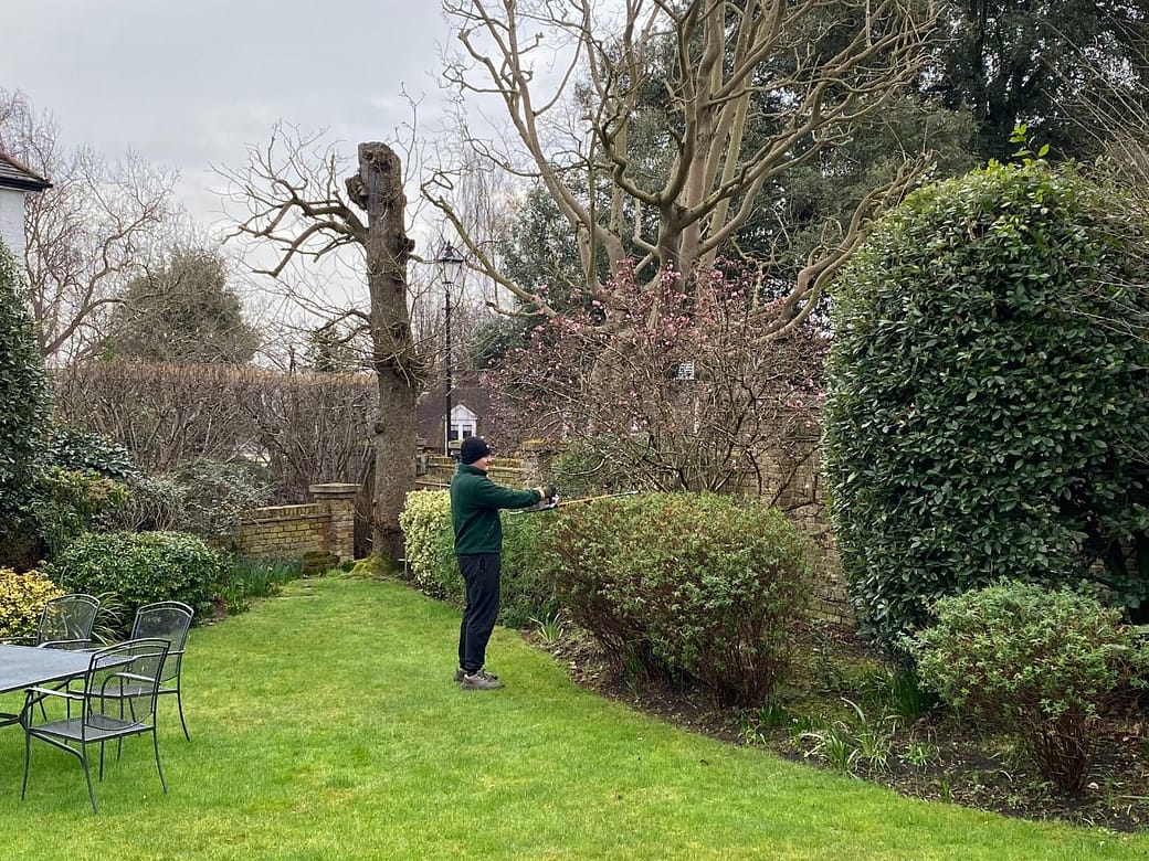 local-gardeners-welling local gardeners Welling DA16