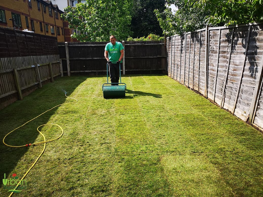 Lawn Aeration Lawn Aeration
