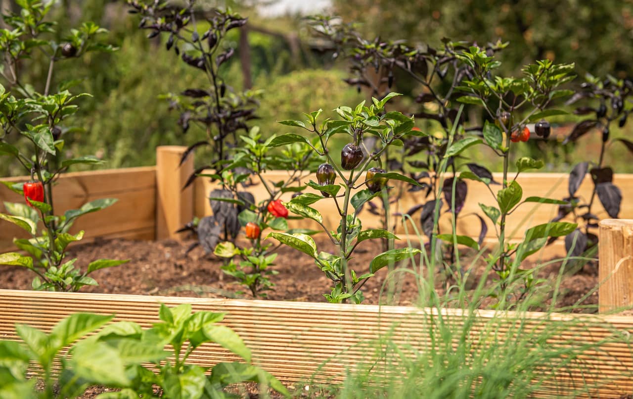 6 Excellent Reasons to Use Raised Beds in The Garden