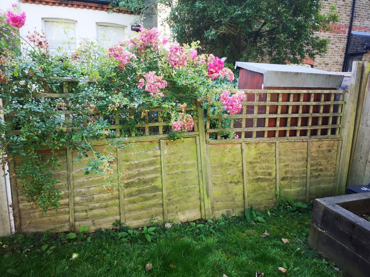 fence installation Crystal Palace