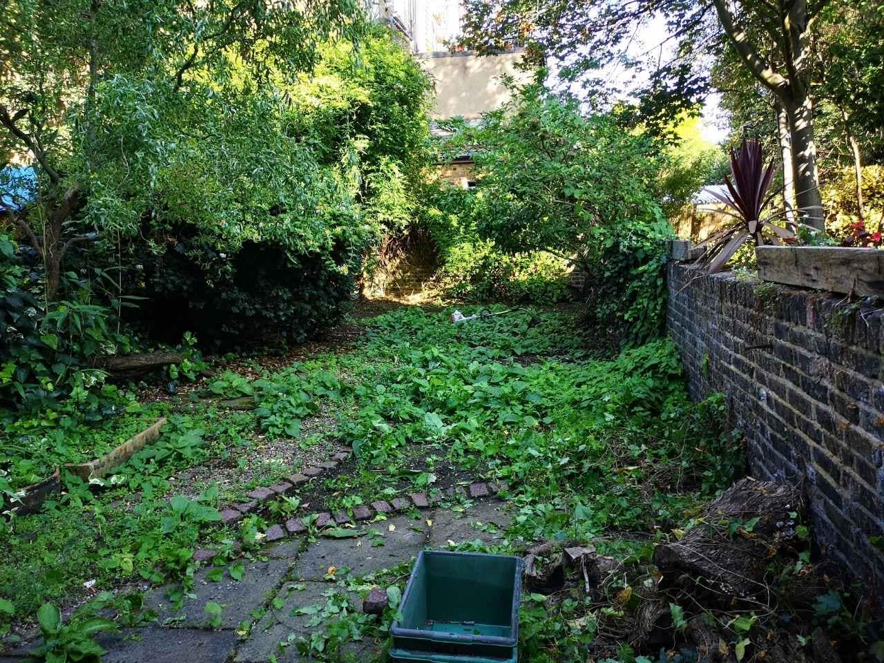 garden maintenance services Tooting