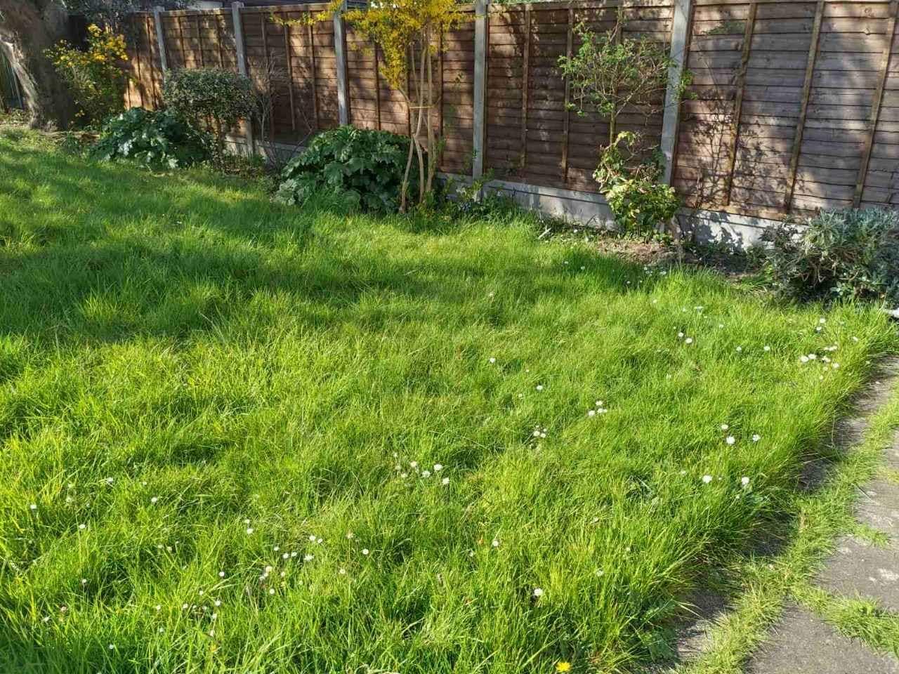 gardening company Catford