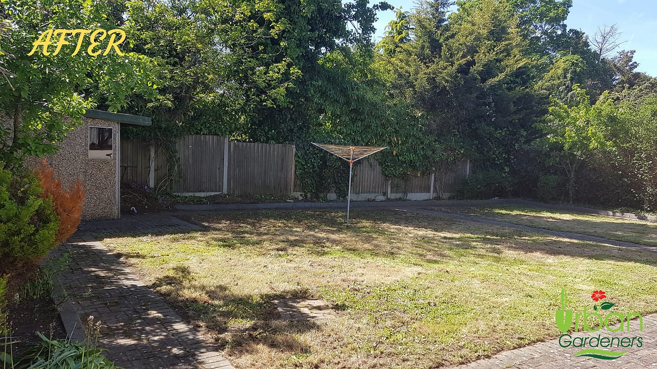 Lawn Aeration Lawn Techniques