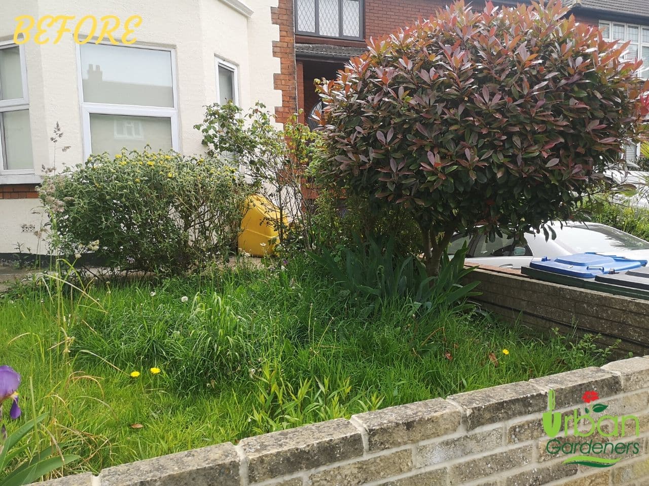 Garden Cleanup Garden Cleanup