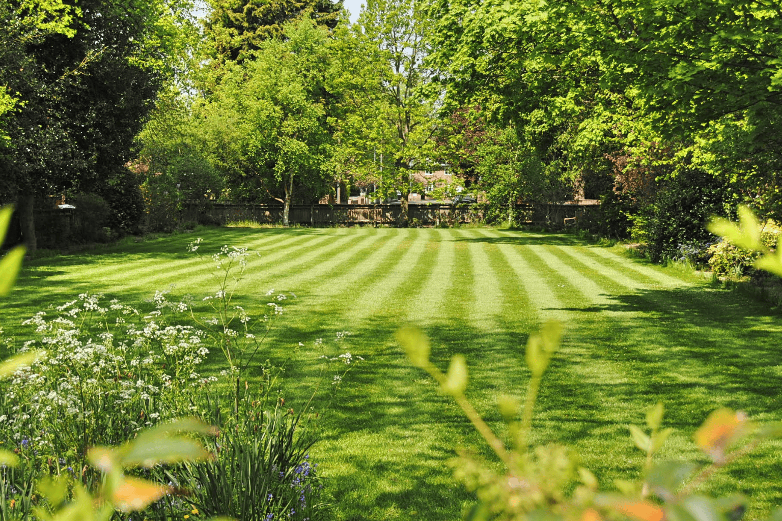 Beautiful freshly mowed lawn in South East London