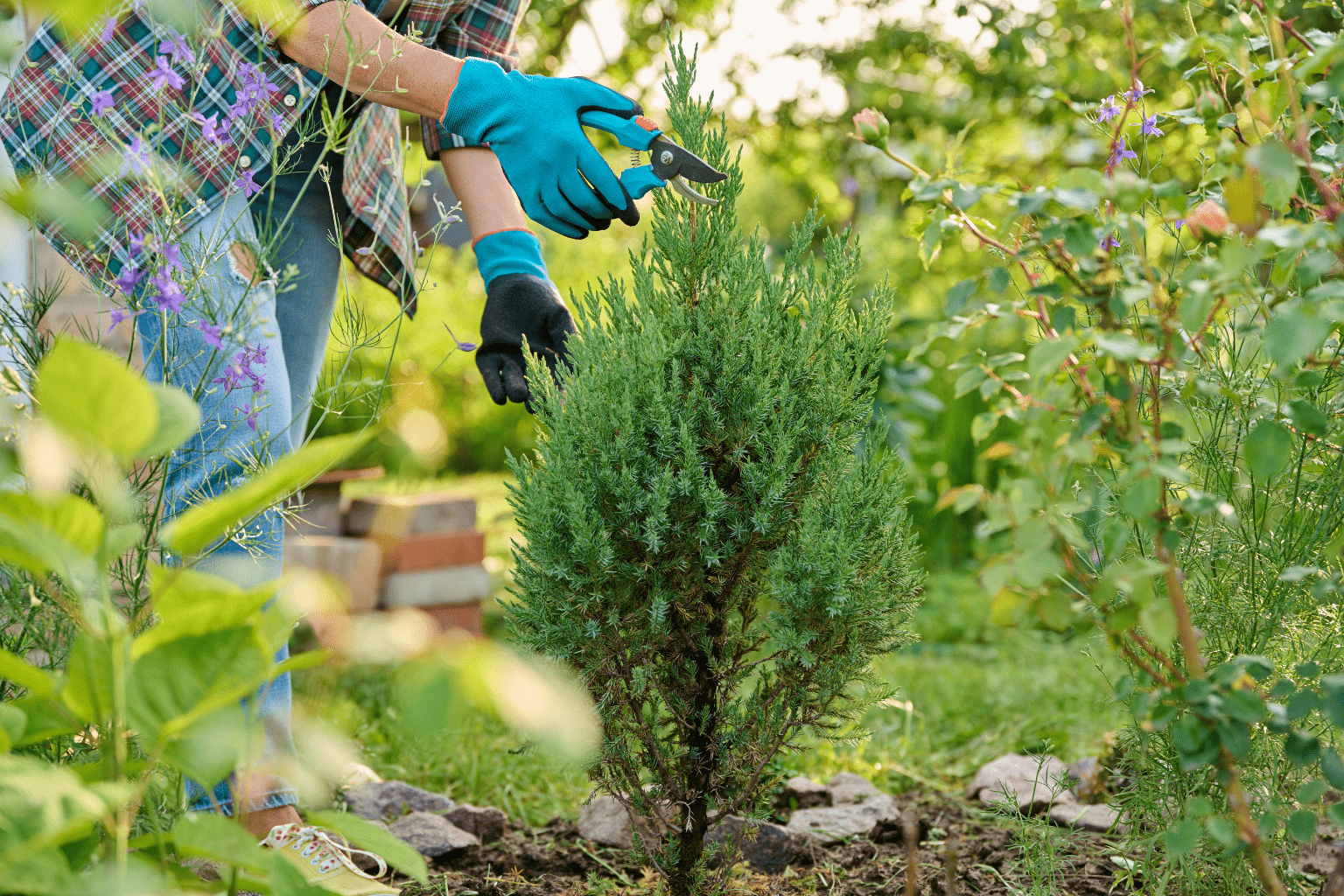 Gardener planting a bush in South East London