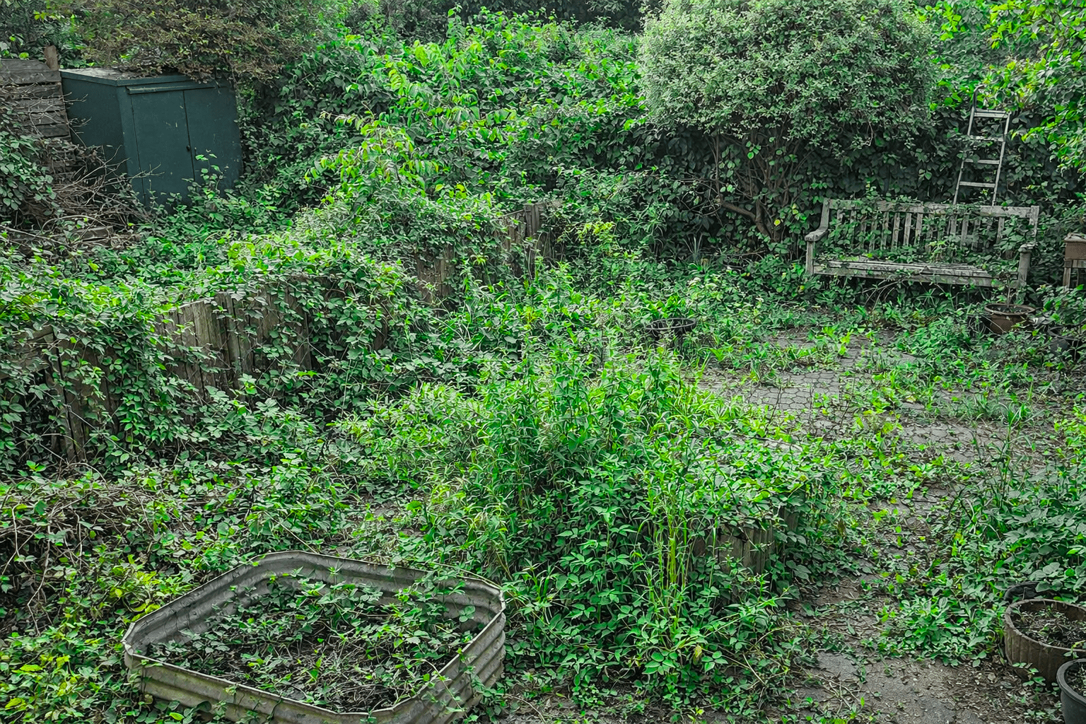 Before Garden Clearance with Urban Gardeners South EAst London
