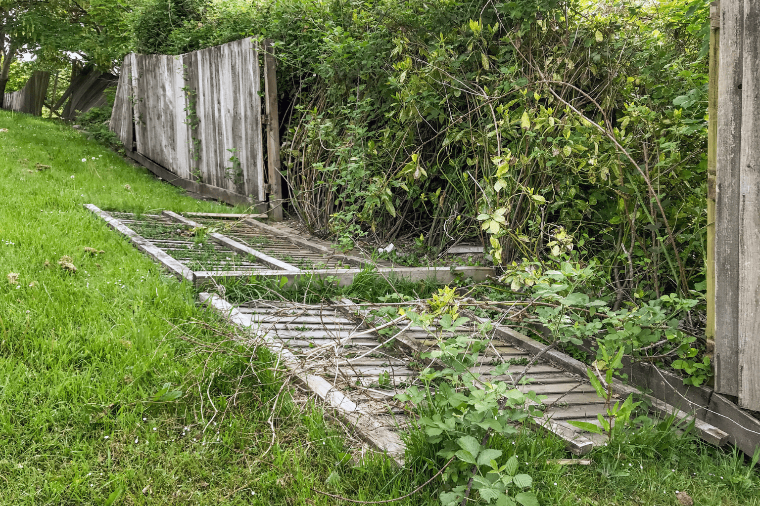 Blown down fence in South East London
