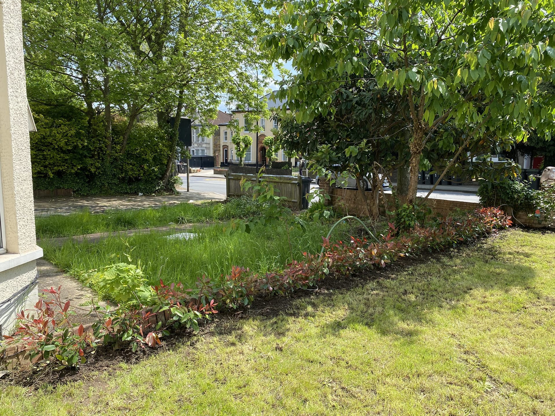 Comprehensive Garden and Yard Maintenance in Eltham SE9 London