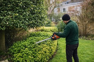 Garden Maintenance by Urban Gardeners in South East London