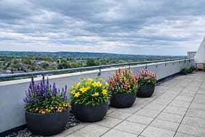 Planting Services by Urban Gardeners in South East London