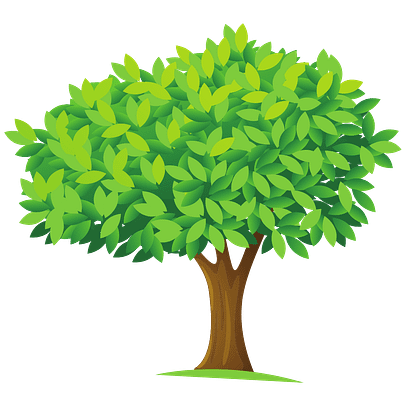 Expert Gardeners in Bromley