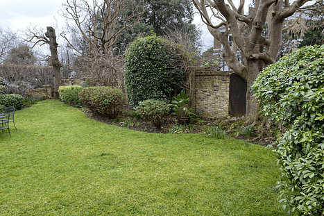 Quiet backyard garden with green lawn, curved shrub border, mature trees, and a brick wall under an overcast sky