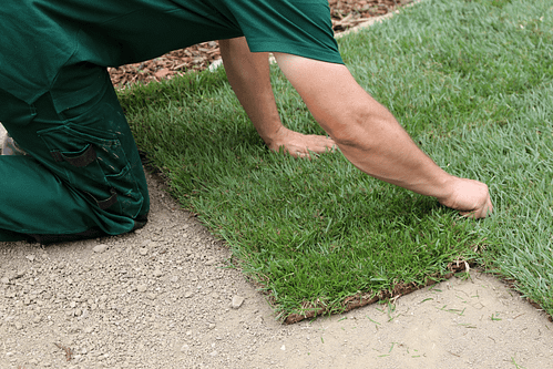 turfing-urban-gardeners-south-east-london Man from Urban Gardeners South East London lauing turf on the ground