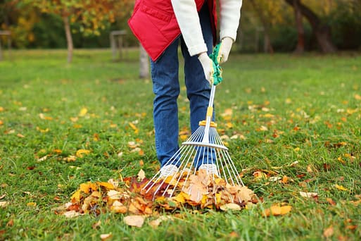 Rake and leaf blower