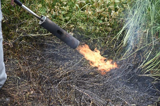 Weed burner or weed control