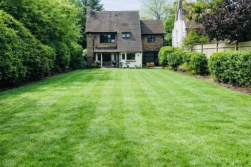 garden-maintenance Garden Maintenance by Urban Gardeners in South East London