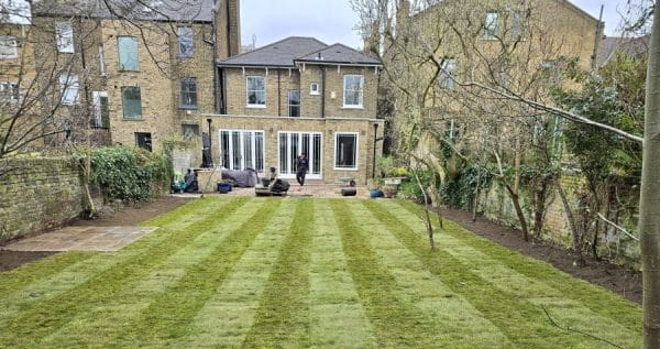 The Advantages of Consistent Garden Maintenance and Subscription Services