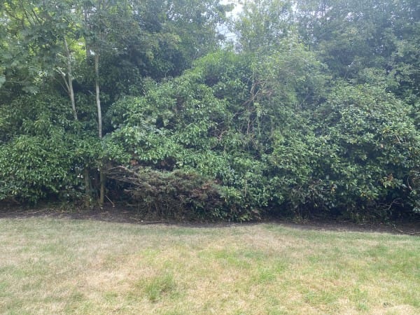 Importance of Maintaining a Beatiful shared garden