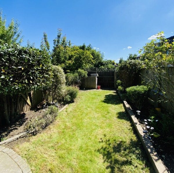 The Benefits of Professional Garden Clearance for Overgrown Spaces