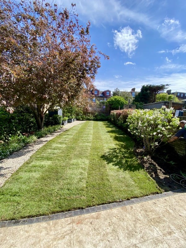 Proper Maintenance for a Beautiful Garden in Southeast London