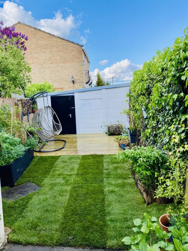 How to Transform an Abandoned Garden into a Blooming Oasis