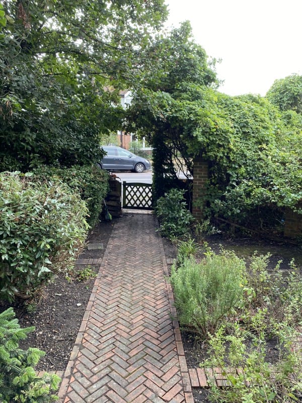 Transforming Overgrown Gardens into Beautiful Spaces in South East London