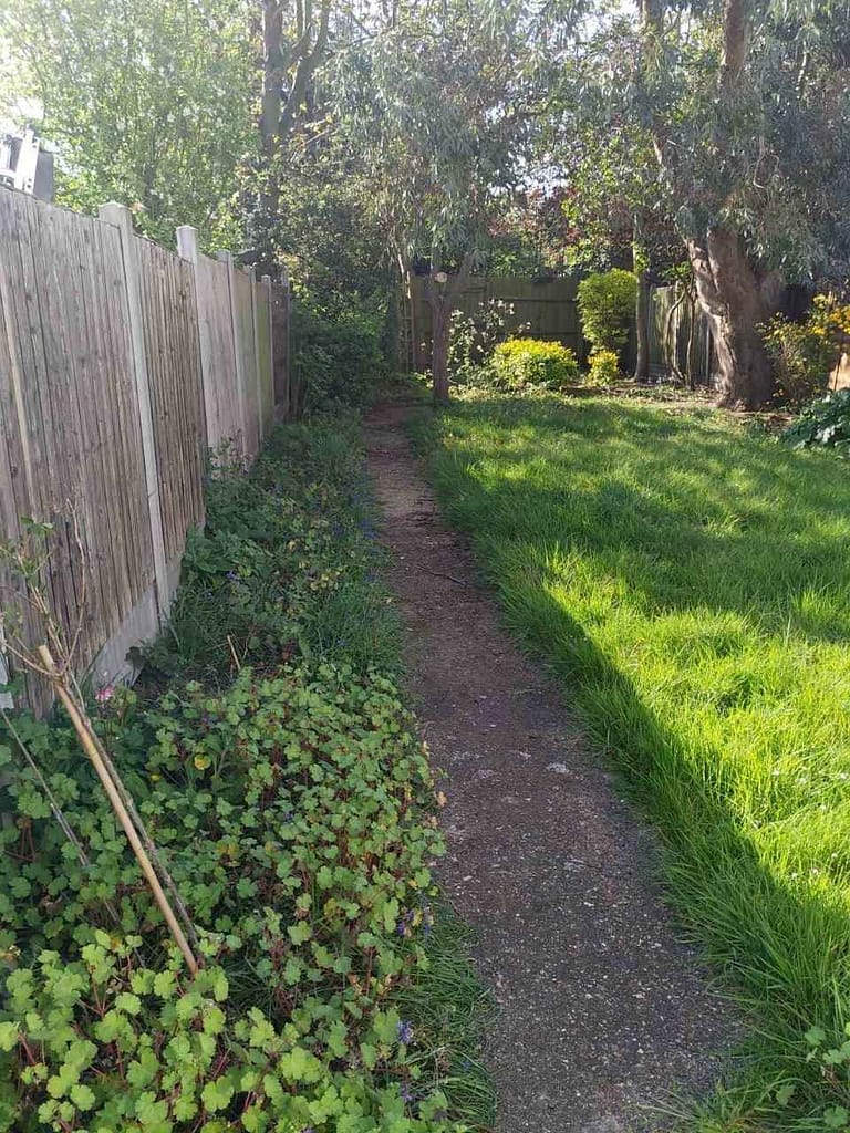 garden tidy-up services Catford