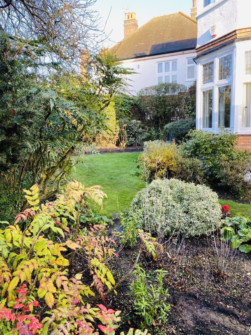 From Chaos to Clarity: Your Garden Makeover Starts Here
