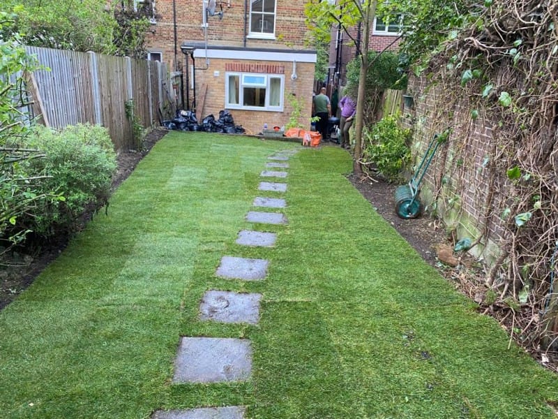 How to Deal with Flooding and Mud in the Garden During the Rainy Season