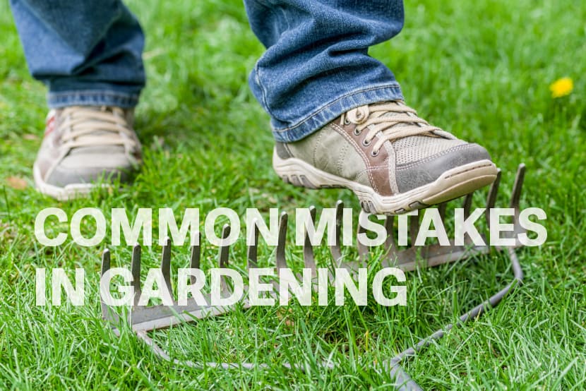 Mistakes in Gardening and How to Avoid Them