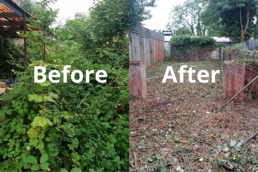 Autumn Garden Clearance in Blackheath SE3