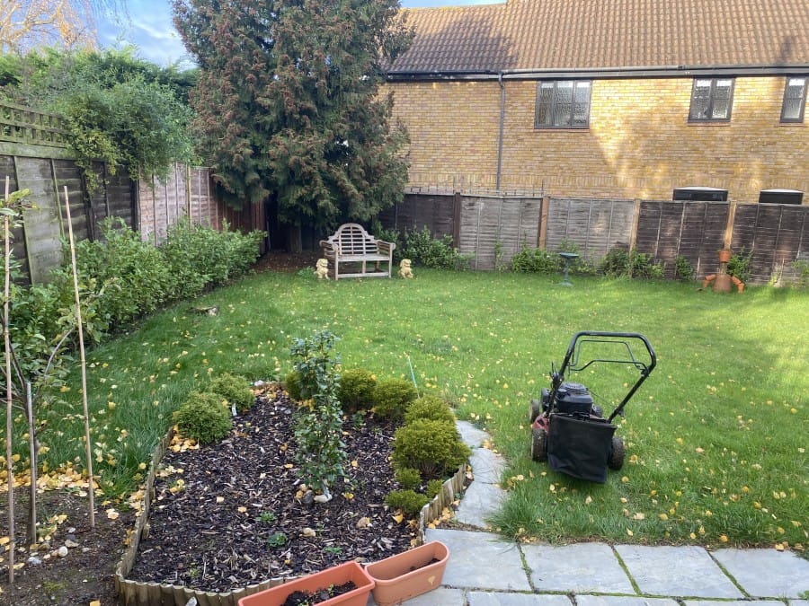 How to Remove Weeds?