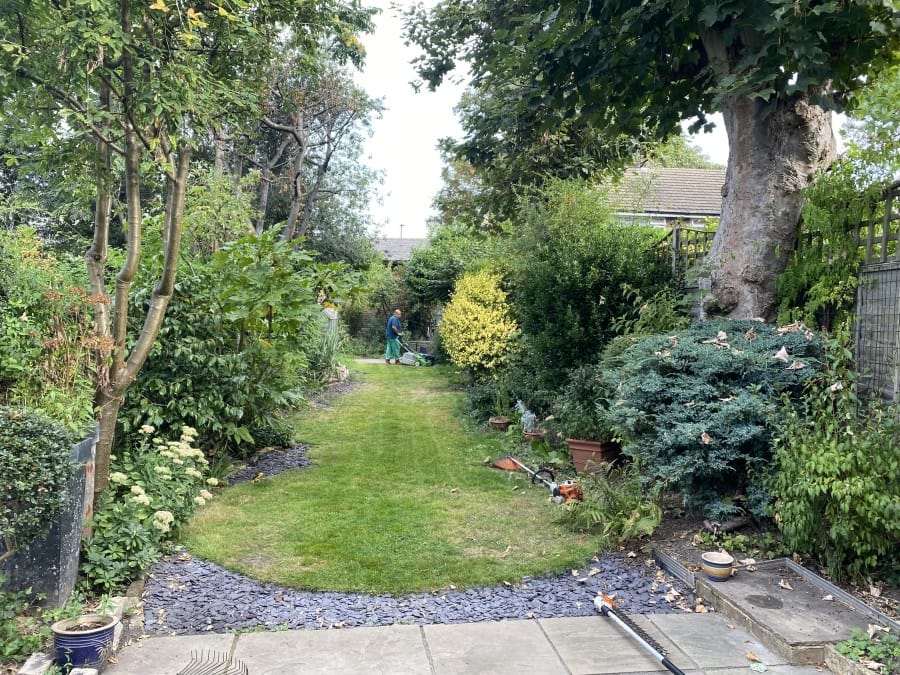 The Importance of Well-Shaped and Trimmed Hedges and Bushes