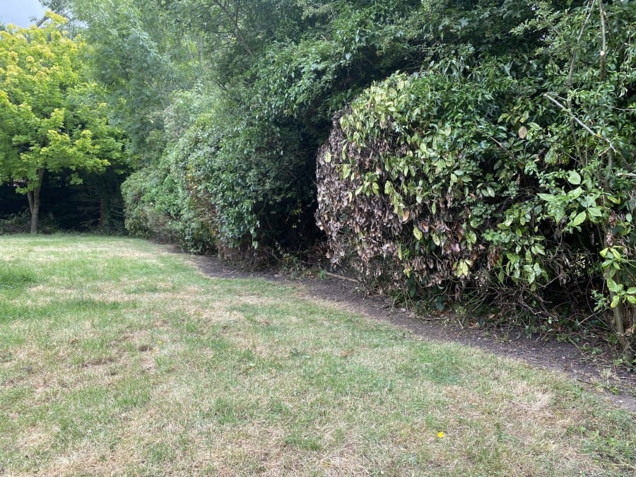 Importance of Maintaining a Beatiful shared garden