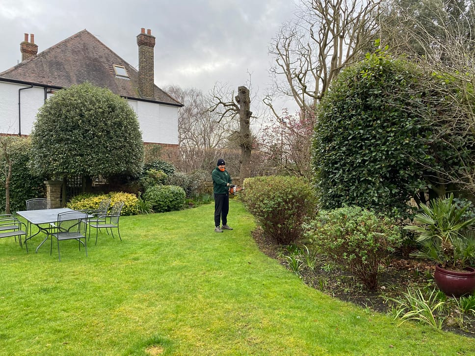 garden-backyard-london Garden Maintenance by Urban Gardeners in South East London